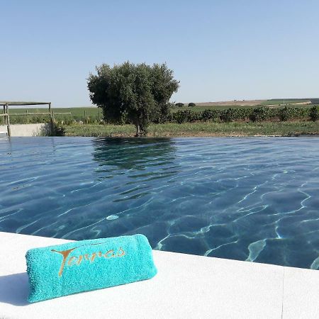 Terras - Agroturismo & Vinhos باجة المظهر الخارجي الصورة