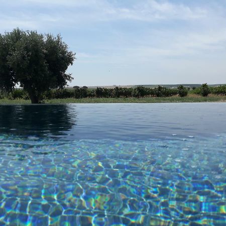 Terras - Agroturismo & Vinhos باجة المظهر الخارجي الصورة