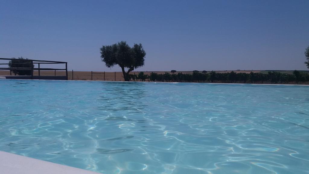 Terras - Agroturismo & Vinhos باجة المظهر الخارجي الصورة