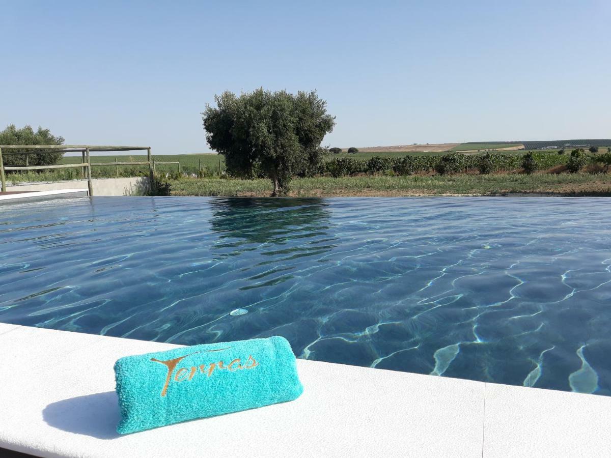 Terras - Agroturismo & Vinhos باجة المظهر الخارجي الصورة