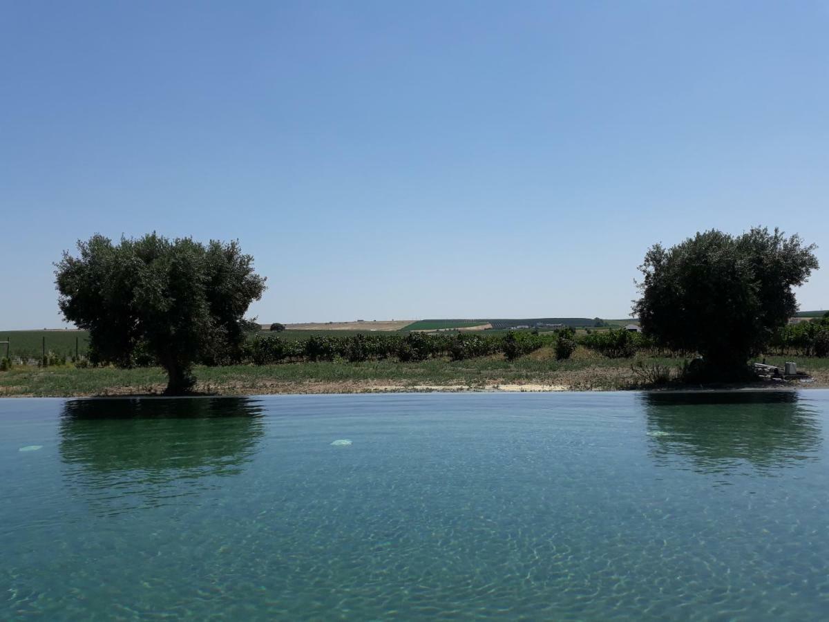 Terras - Agroturismo & Vinhos باجة المظهر الخارجي الصورة